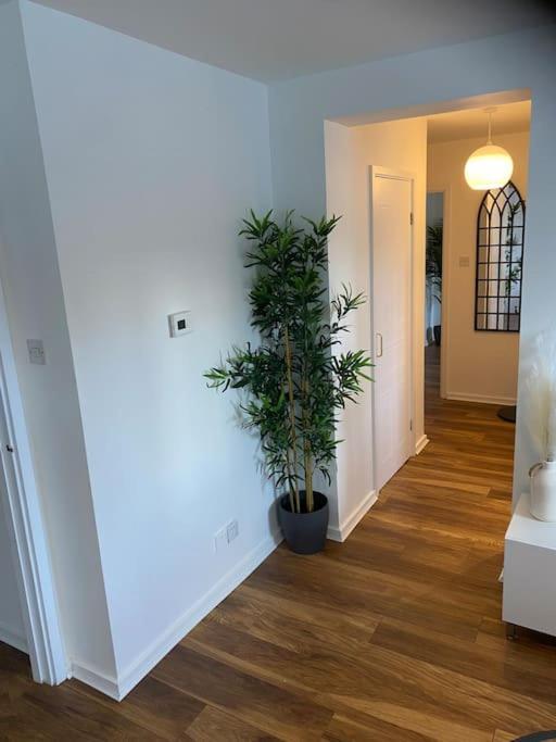 Perfectly Situated Luxury 2 Bedroom Apartment Glasgow Esterno foto